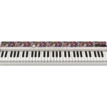 Casio CT-S1 FH