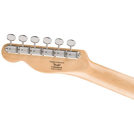 Fender Telecaster Offset Paranormal Edición Limitada SJ