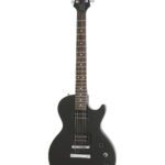 Epiphone PPEG KIT