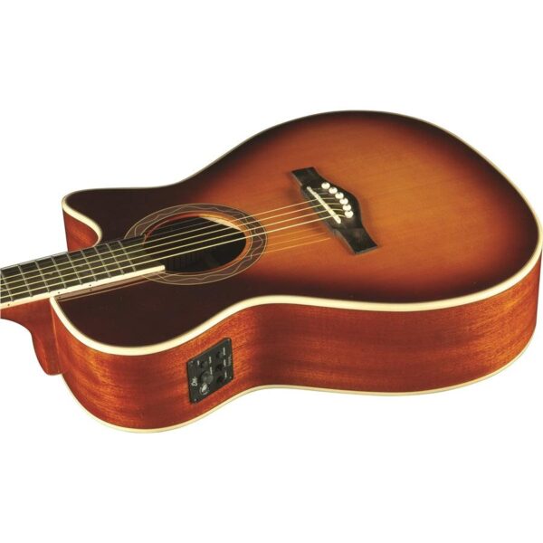 Eko V Sunburst 06217181