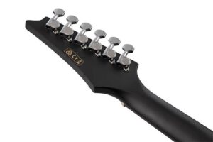 Ibanez ALT20-WK